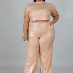 ❤️Gorgeous nude metallic two piece plus size set!